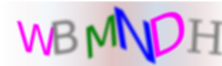 bintellix form capcha